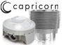 Piezas del motor de alta prestación (Capricorn)