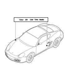 Lackausbesserungsgerät / Lacke 987C.1 Cayman 2006-08