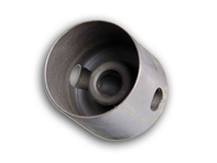 cam follower 046109311