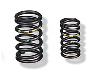 1 set of valve springs 95110590510