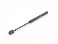 gas-filled strut 99751255100