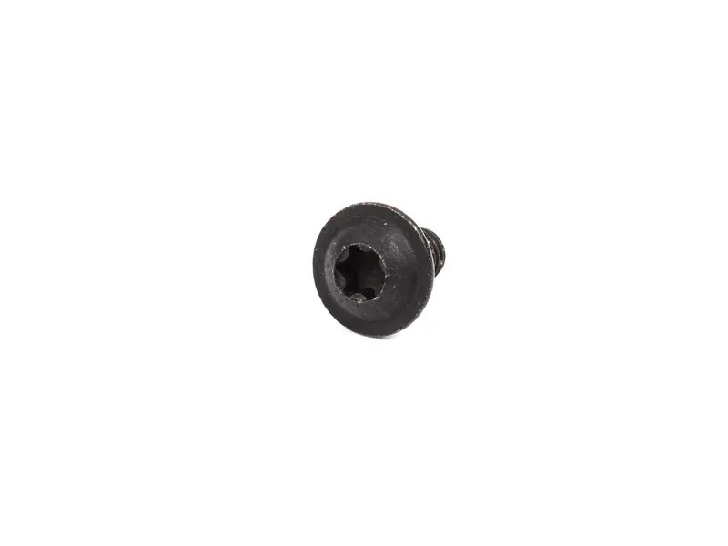 Oval-head screw 99901502509 Oval-head screw 99901502509