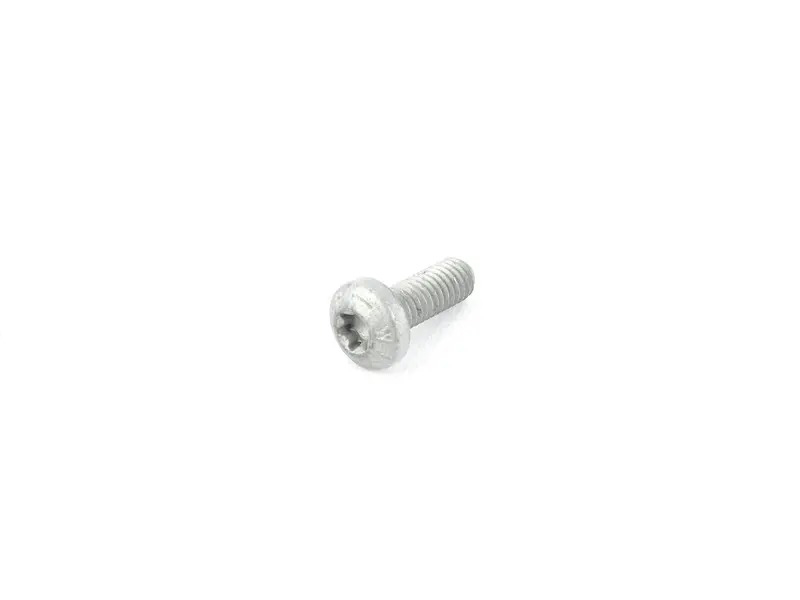 screw round hd. 99907310301