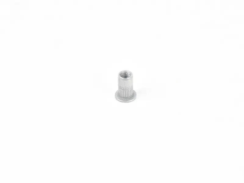rivetted cap nut N10597701