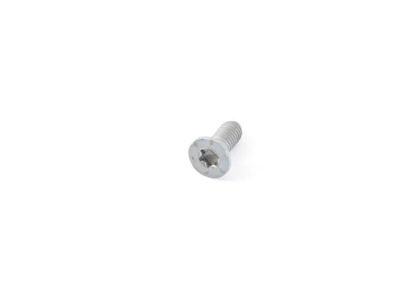 Hex socket countersunk bol N10648301