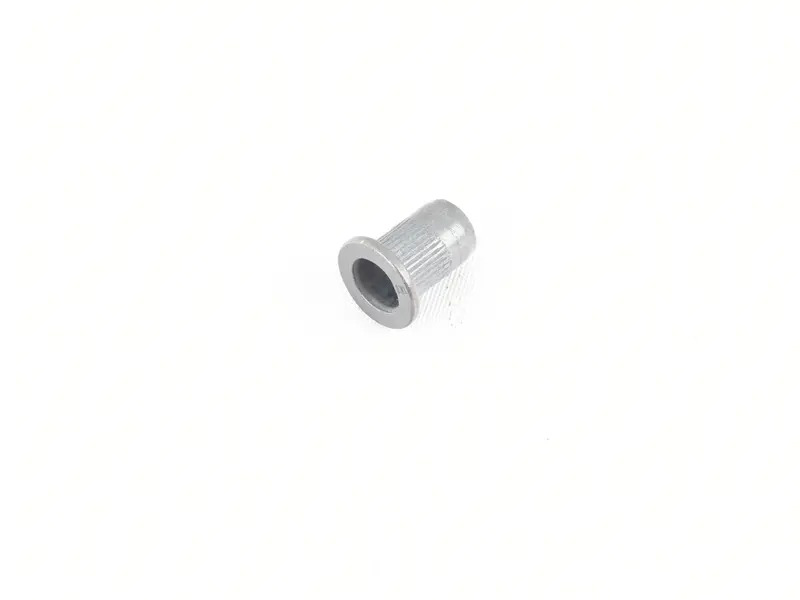 rivetted cap nut N90920301