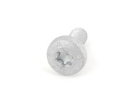 Oval hexagon socket head bolt N91096701 Oval hexagon socket head bolt N91096701