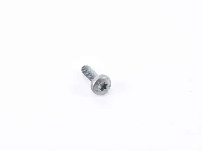 bolt with polygon socket hd. N91099101 bolt with polygon socket hd. N91099101
