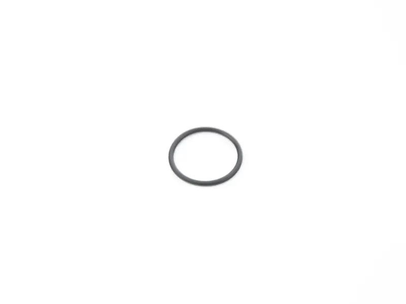 O-Ring WHT002543