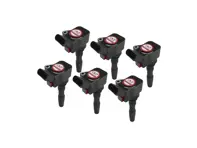 Zündspulenpakete (6ER-PACK). Porsche 971 Panamera Plasmadirekt - PAC905110, 9589051100, 0986221072, 9589051101, 0040102068, 0040102137, 06H905110G, 06H905110L, 06J905110B, 06J905110K, 06J905110N, 06K905110G, 06K905110J, 06K905110K, 06L905110B, 06L905110K, 95890511000, 95890511001, PAC905110A, 99A7905110 - EUPD6004202R