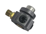 Fuel pressure damper single port. Porsche 944 1983 to 1985 - 0 280 161 018, 0280161018 - AMS9050028