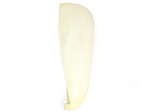 Rückenlehnen-Seitenpolster aus Schaumstoff. Porsche 911 1970-73 - 91152119100, 91152119200, 5211920003, 5211910003