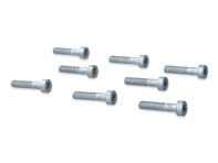 Flywheel Bolts SET OF 8. Porsche 986 / 987 / 987C / 996 / 997 - 99907309202 - 99907309209, 99907309201, 99907309202
