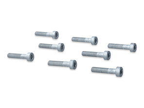 Vliegwielbouten SET VAN 8. Porsche 986 / 987 / 987C / 996 / 997 - 99907309202 - 99907309209, 99907309201, 99907309202