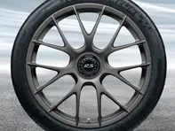 20'/21' 991.2 GT3 RS Magnesio, in platino (satinato-lucido) Cerchi in lega Original Porsche - 99104460338