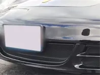 Malla de alambre de la rejilla central del paragolpes delantero. Porsche 997 Gen 1