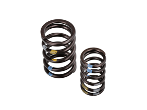 气门弹簧组。保时捷 997 GT3 3.8L / 4.0L M97.77 / M97.74 2007-11 - 99710509396