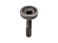 Vite Torx pignone camma scarico M12x1,5x60. Porsche 987.2 / 981 / 997.2 / 991.1 - 9A110525502, 9A110525501