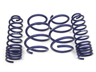 Kit de resortes de bajada H&R. Renault Mégane Sport (165kW) 04- - 29190-1, 291901