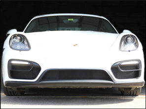 Rennline Voorbumper grillset van draadgaas. Porsche 987 / 981 / 982 Boxster - E1003