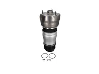 Luftfeder des vorderen Stoßdämpfers. Porsche Panamera 970 2010-16 - 97034315133, 97034315136, 97034315135, 97034315233, 97034315236, 97034315235, 97034315238, 97034315138