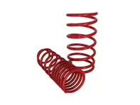Lowering Springs (Lowers: 30mm). Porsche 968 92>> SPAX - 94434353104904, 94434353109904, 95134353103904, 95134353105904, 94434353101104, 94434353133104 - S029005