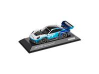 Porsche 911 GT3 R Rennsport – Edizione limitata - WAP0205030SGTR
