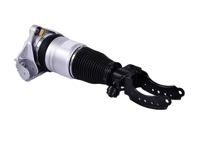 Ammortizzatore anteriore ad aria. Porsche Cayenne 955 / 957 - 95534303445, 95534303345, 95534303420, 95534303421, 95534303422, 95534303442, 95534303443, 95534303442, 95534303443, 9553430344, 95534303450, 95534304420, 95534304421, 95534304430, 95534303320, 95534303321, 95534303322, 95534303342, 95534303343, 95534303342, 95534303343, 95534303344, 95534303350, 95534304320, 95534304321, 95534304330 - 76044, 59030
