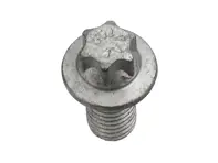 Kupplungsdruckplatten-Befestigungsschraube. Porsche Boxster / Cayman / 991 / 996 / 997 / Panamera / Cayenne - 99907345801, 9A700407600