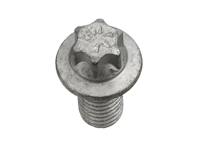 Kupplungsdruckplatten-Befestigungsschraube. Porsche Boxster / Cayman / 991 / 996 / 997 / Panamera / Cayenne - 99907345801, 9A700407600