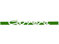 'CARRERA' side decal, in Green. Porsche 911 Carrera 2.7 - 91155903400, 91155903401, 91155903402, 91155903403, 91155903404