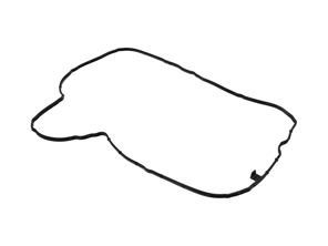 Guarnizione coperchio valvole testata. Cilindri 4-6. Porsche 991 GT3 / 992 GT3 / Spyder / GT4RS - 0PB109092, 9A110573290