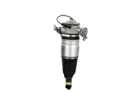 Luftfederbeineinheit hinten. Porsche 958 Cayenne 2011 - 2018 - 95835801900, 95835801901, 95835801905, 95835801910, 95835801911, 95835801917, 95835801918, 95835801920, 95835801930, 95835801931, 95835801940, 95835801950, 95835802000, 95835802001, 95835802005, 95835802010, 95835802011, 95835802015, 95835802017, 95835802018, 95835802020, 95835802030, 95835802031, 95835802040, 95835802041, 95835802050 - 42928, 54014