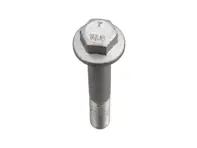 Hexagon-Head bolt for Rear suspension cross member. Porsche 996 / 997 - 90037813901, 90037813909 - 96139