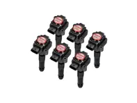 Pacchetto bobine di accensione Performance (CONFEZIONE DA 6). Porsche 996/Boxster 986/Boxster 987/997/Cayman - 99760210402, 99760210400, 99660210400, 99760210404, 0986221119, 90660210200, 90660210301, 99660210100, 99660210101, 99660210200, 99760210401, 99760210700, 99760210702, 99760210406, 99760210405, 90660210101, 99760210703, 4201R - EUPD6004202R