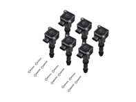 Confezioni bobine di accensione (CONFEZIONE DA 6). Porsche 996 / Boxster 986 / Boxster 987 / 996 GT3 MKII - 99760210400, 99760210402, 99660210400, 99760210404, 99760210400, 99760210405, 997.602.104.05, 997 602 104 05, 997.602.104.04, 997 602 104 04, 997.602.104.02, 997 602 104 02, 99760210406, 997.602.104.06, 997 602 104 06, 99760210403, 997.602.104.03, 997 602 104 03, 99760210401, 997.602.104.01, 997 602 104 01, 997.602.104.00, 997 602 104 00, 996.602.104.00, 996 602 104 00, 99760210700, 997.602.107.00, 997 602 107 00, 99660210101, 996.602.101.01, 996 602 101 01, 99660210501, 996.602.105.01, 996 602 105 01, 99660210500, 996.602.105.00, 996 602 105 00, 9760210702, 90038502501, 900.385.025.01, 900 385 025 01, 99660210100, 996.602.101.00, 996 602 101 00, 99917022390, 99610532552 - ZS178, ZS178, 0986221119