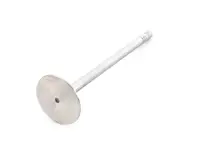 Auslassventil. Porsche Cayenne / Panamera / Macan - 94810532252 - I02015013