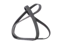 Drive belt Porsche 991 GT3 and 991 GT3 RS - 9A110221891