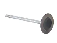 Válvula de entrada a la culata del motor. Porsche Boxster 986 3.2L / 996 - 99610511152, 99610511155, 3843.032, 854415-6