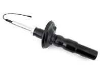 Amortiguador trasero. Porsche Boxster 987 / CAIMÁN 987C - 98733305327