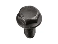 Zeskantbout - M10x1x22.8 - voor differentieelbehuizing. Porsche 986 Boxster 2.5L/2.7L / 987.1 Boxster & Cayman 2.7L - N90361401