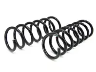 Coil springs REAR PAIR. Porsche 958 Cayenne - 95833353156504
