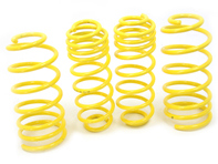 APEX Kit molle sportive per AUDI A3 1.8 & TDI (TYP:8L) 96-03 - 10-8010