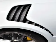 Lamellenabdeckungen für vordere Kotflügel, Kohlefaser. Porsche 991.1 GT3RS - 99150352490, 99150352390 - SF/C/991-503-524-90/GT3RS