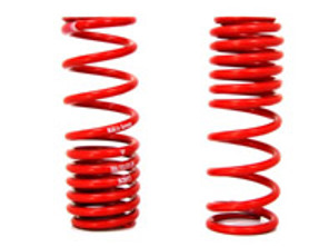 Ressorts hélicoïdaux PAIRE ARRIÈRE. Porsche 996 GT3RS - 99634353197504