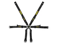 SCHROTH PROFI 2x2 FHR 6-Point adjustable race harness. Porsche 981 Cayman - 94680-0, 94680-2