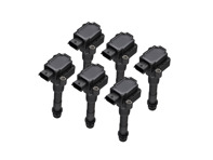 Bobinepakketten (6-PACK). Porsche 996 / Boxster 986 / Boxster 987 / 996 GT3 MKII - 99760210400, 99760210402, 99660210400, 99760210404, 99760210400, 0986221119 - ZS178, ZS178