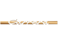 'CARRERA' side decal, in Matt Gold. Porsche 911 Carrera 2.7 - 91155903400, 91155903401, 91155903402, 91155903403, 91155903404