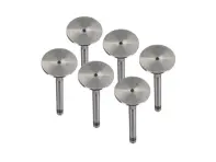 Engine cylinder head exhaust valve kit. Porsche 911 1970 - 77 - 91110541500, 91110541550