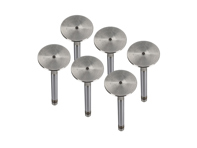 Kit de soupapes d'échappement de culasse de moteur. Porsche 911 1970 - 77 - 91110541500, 91110541550